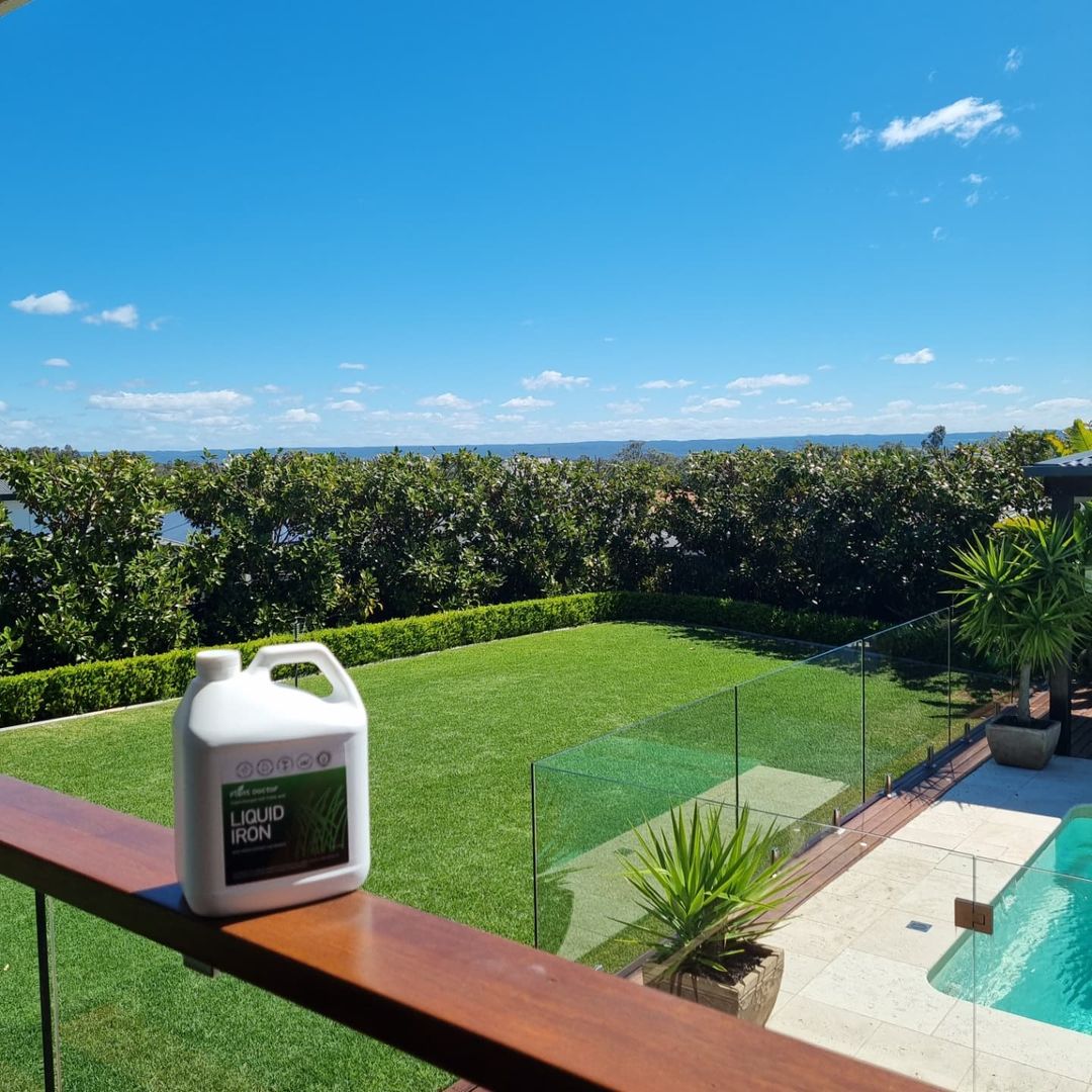 Our Blog Iron deficient lawn? Tips on using Liquid Iron fertiliser on your lawn